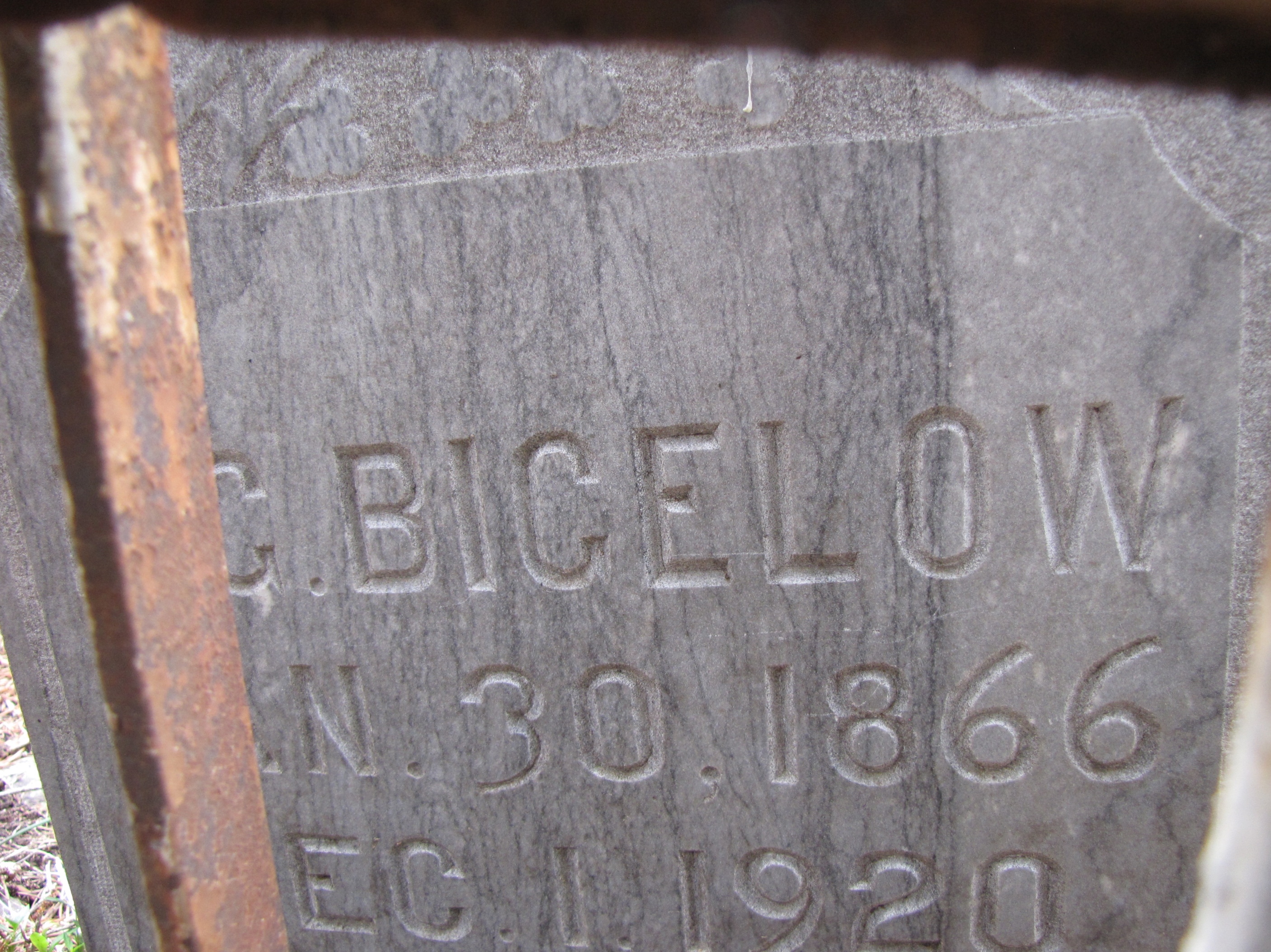 Edwin Grant (9) Bigelow
        grave stone