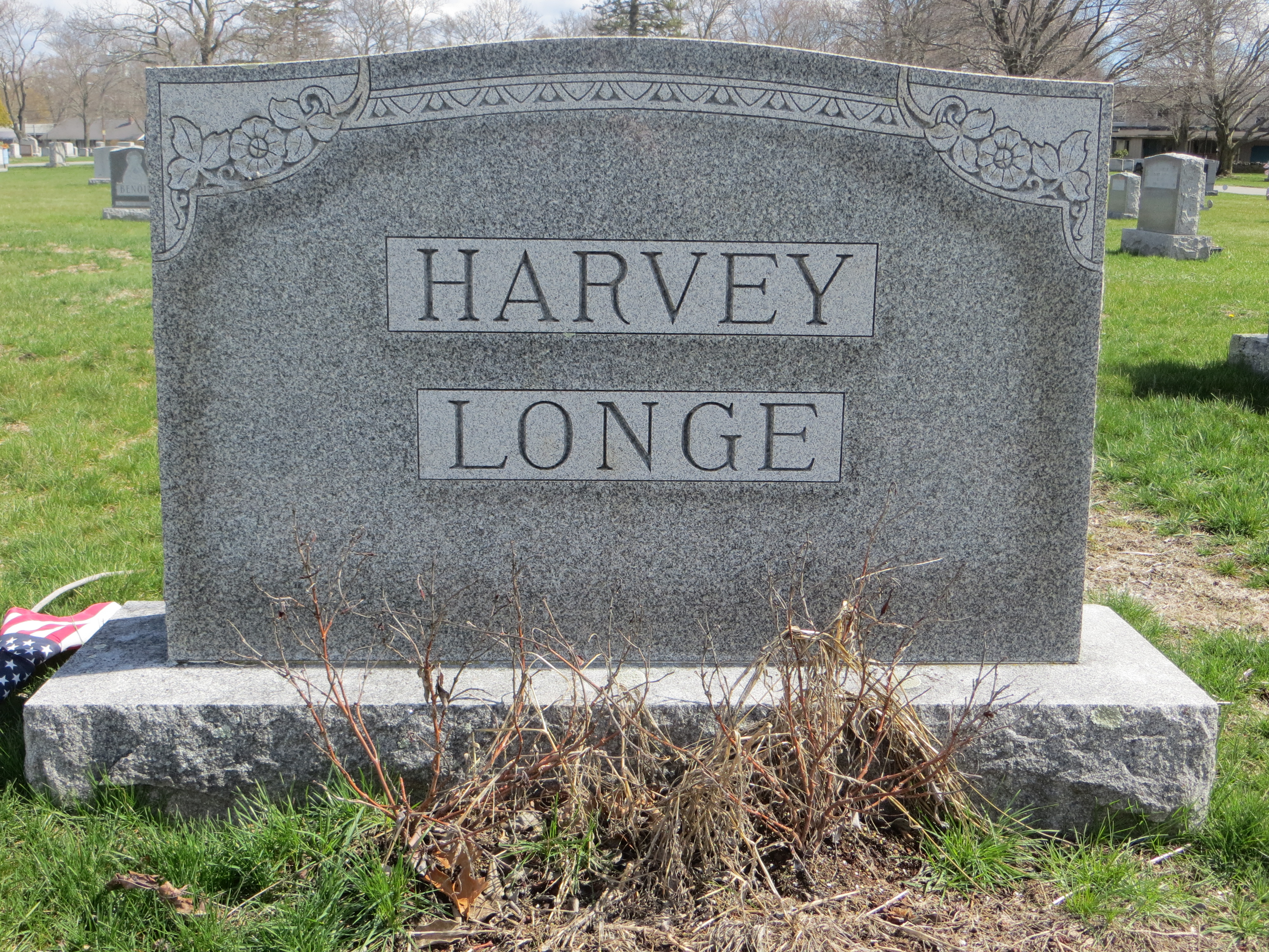 harvey9